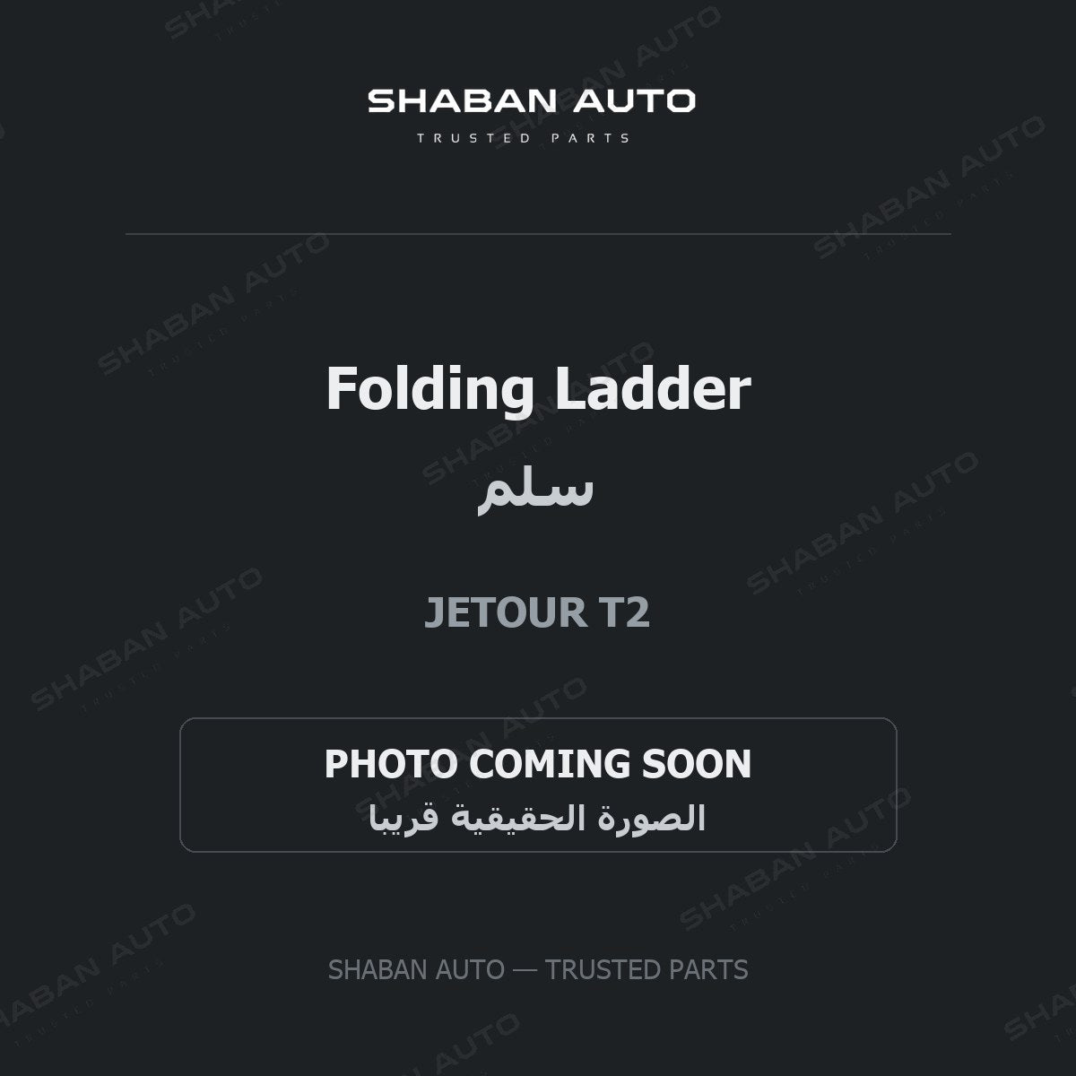 Folding Ladder for Jetour - T2 - 2024