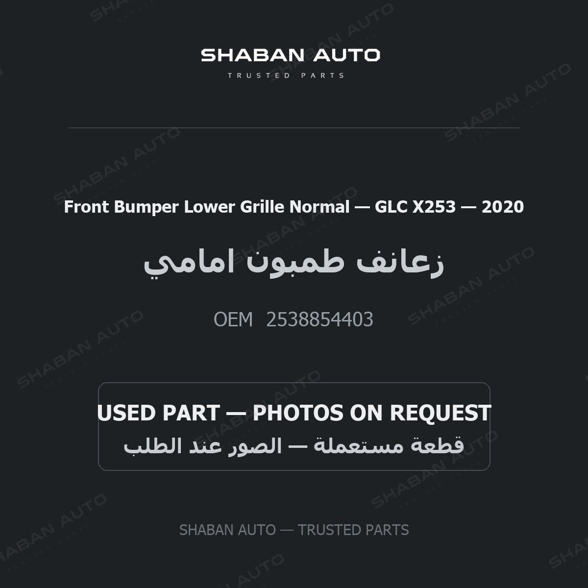 Front Bumper Lower Grille Normal for Mercedes GLC X253 - 2020