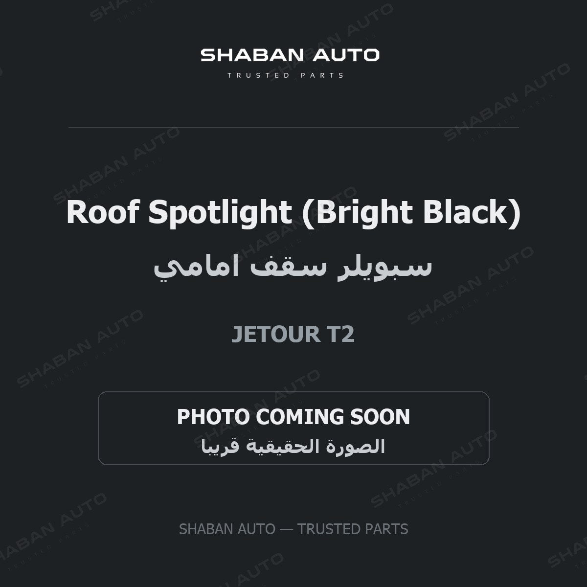 Roof Spotlight (Bright Black) for Jetour - T2