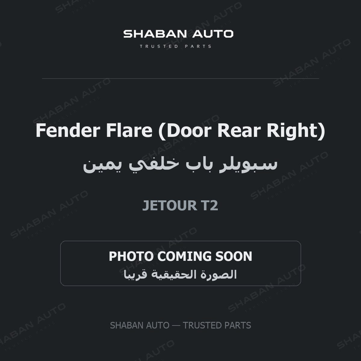 Fender Flare (Door Rear Right) for Jetour - T2 - 2024
