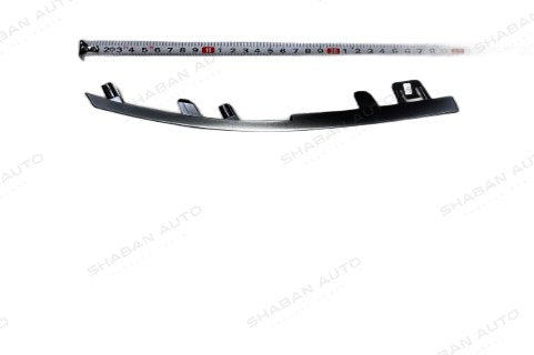 Front grille trim Ⅱ L - Destroyer 05
