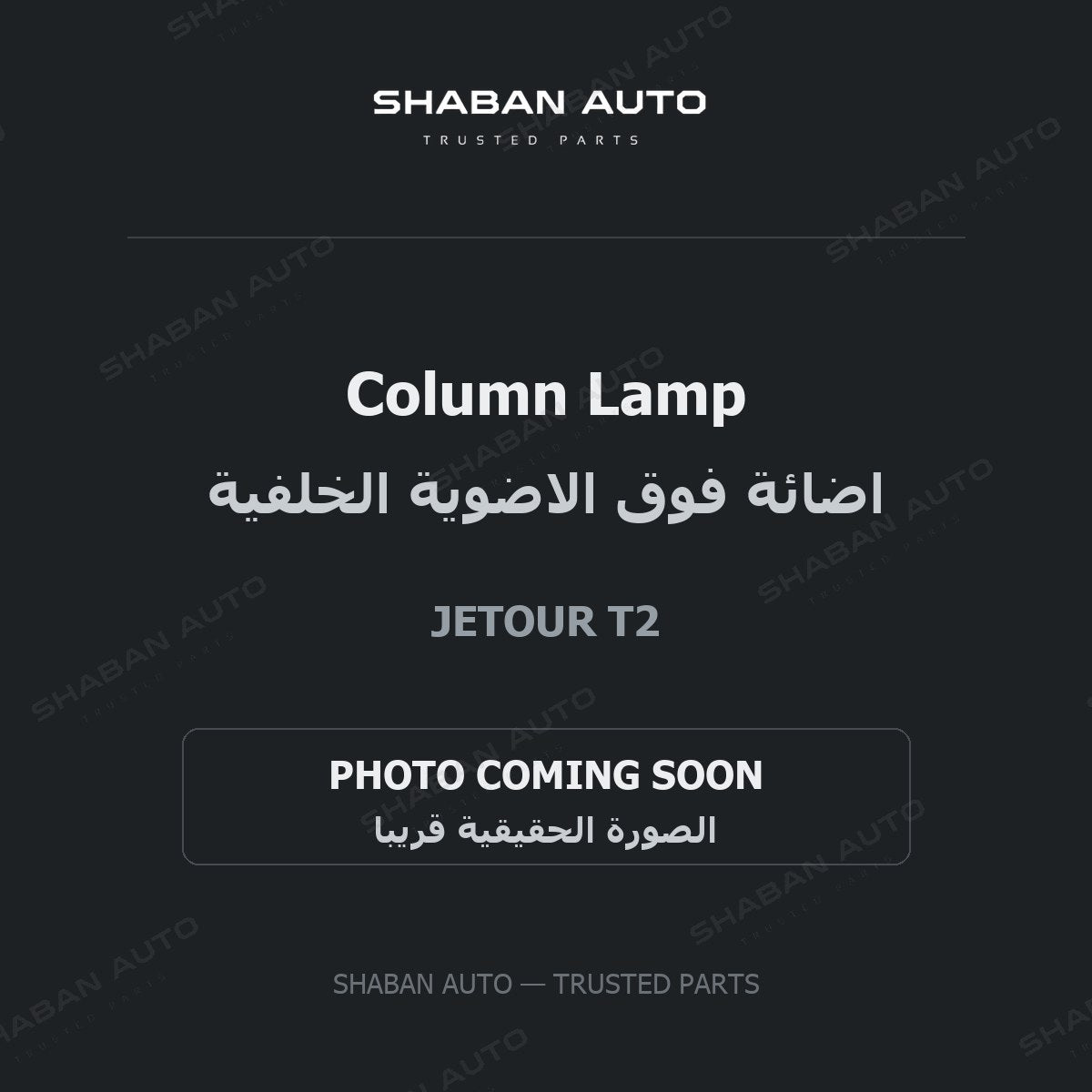 Column Lamp for Jetour - T2 - 2024