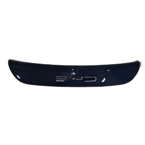 Radiator Grille — BYD DOLPHIN