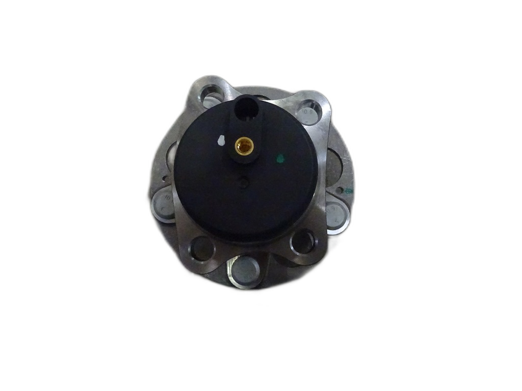 Left Rear Hub Unit Assembly - QIN EV