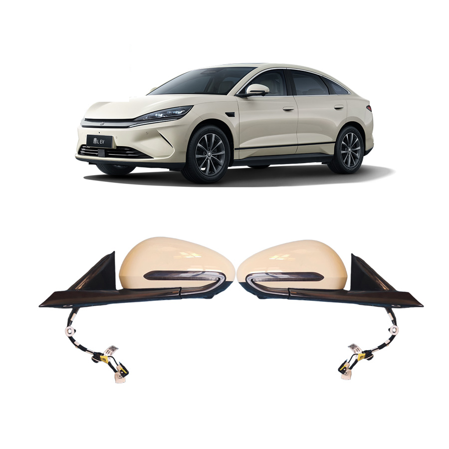 Side Mirror - BYD Qin EV