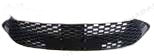 Front bumper GRILLE - QIN PLUS DMI