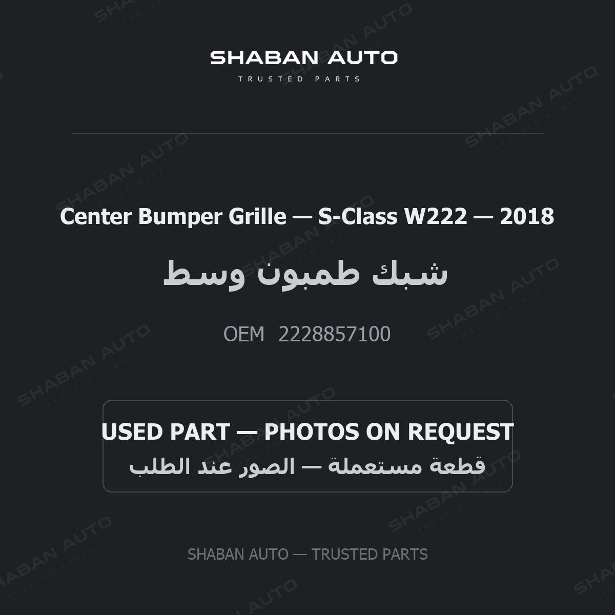 Center Bumper Grille for Mercedes S-Class W222 - 2018