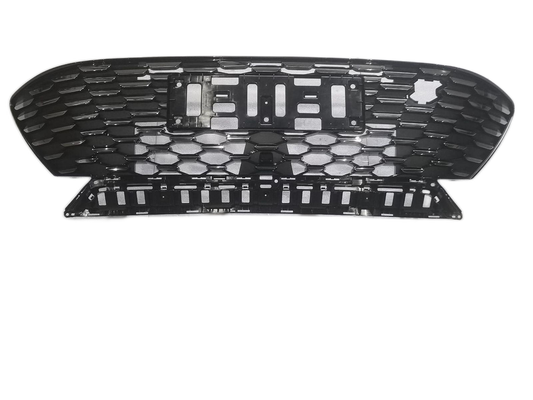 Front grille - BYD