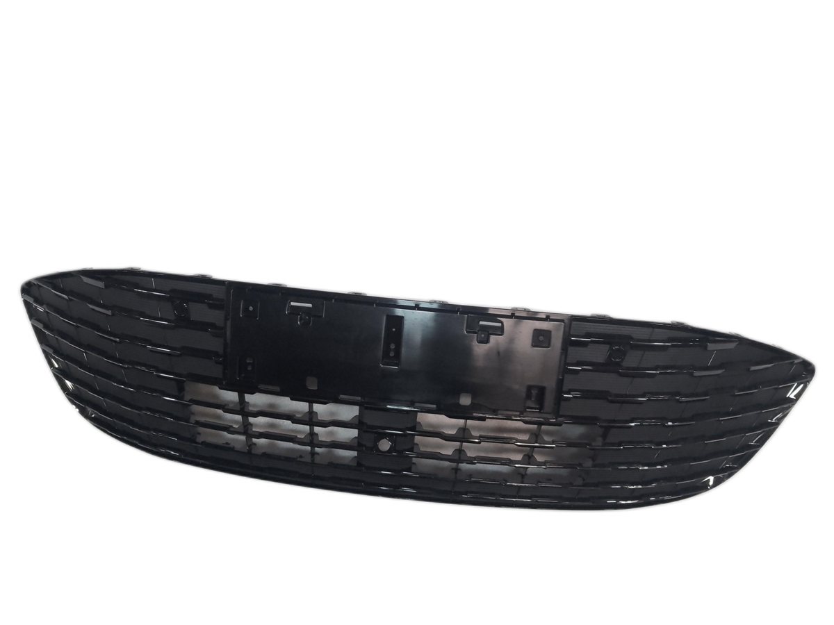 Front Grille - BYD