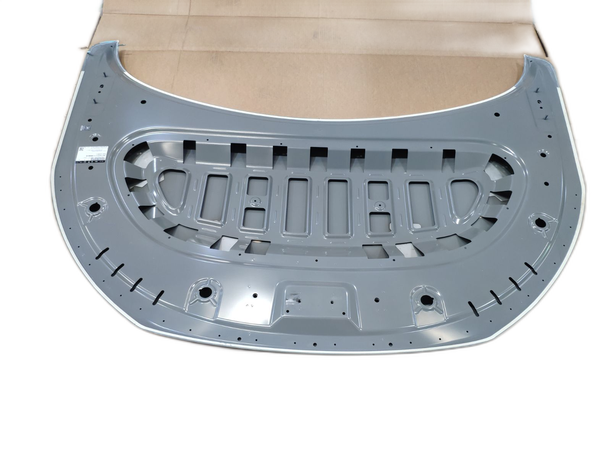 Front hood assembly - TANGL EV,TANGL DM