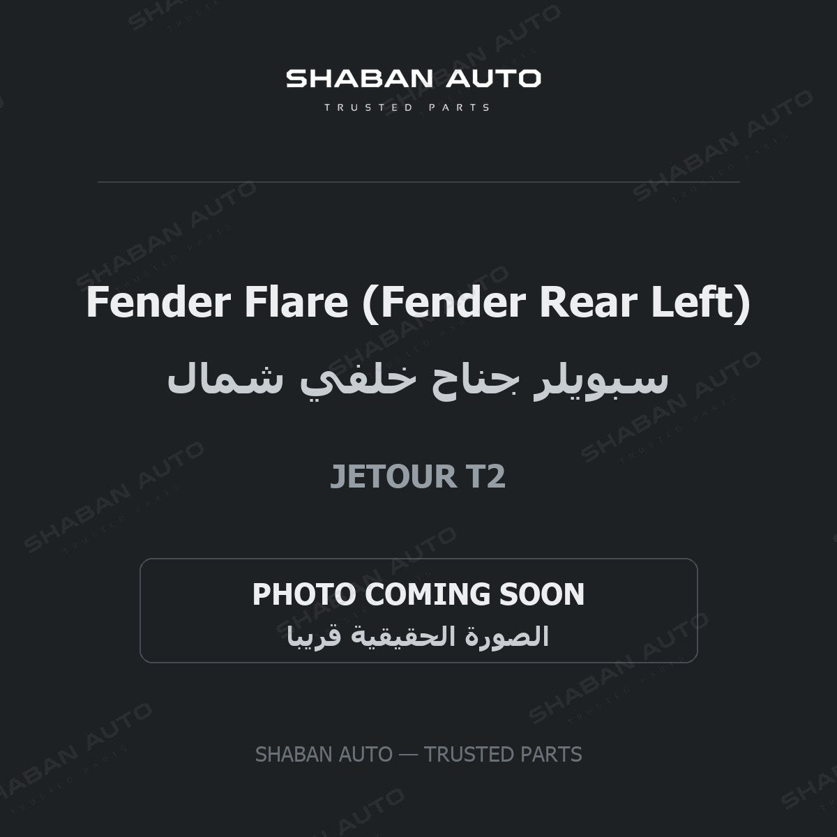 Fender Flare (Fender Rear Left) for Jetour - T2 - 2024