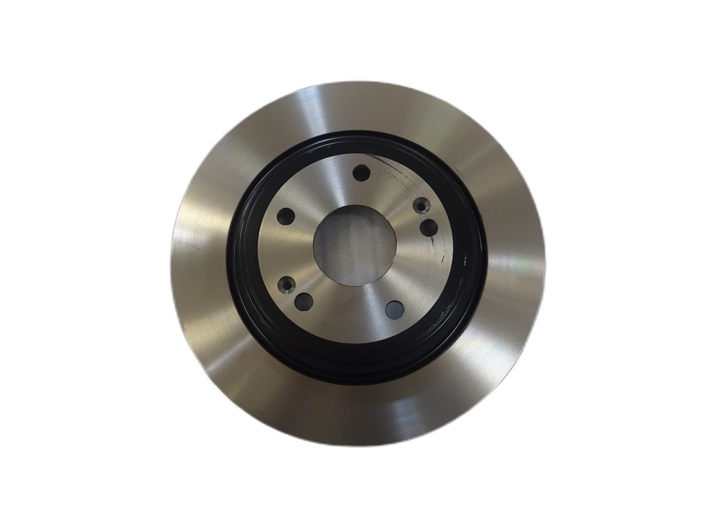 Rear Brake Disc - QIN EV