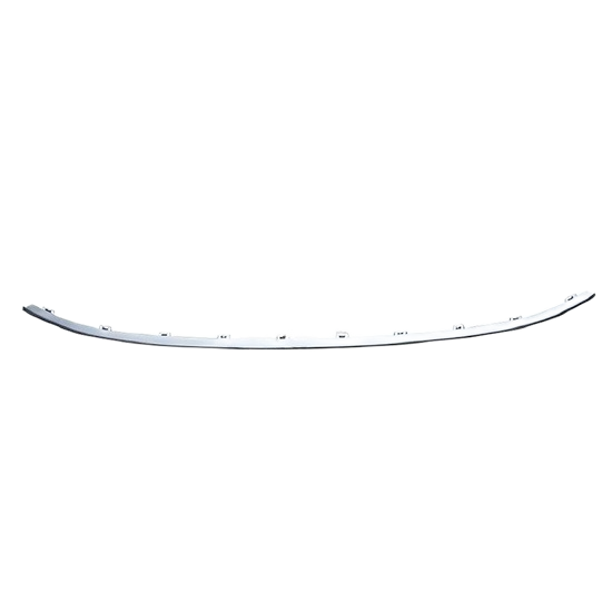 Radiator Grille — BYD QIN PLUS