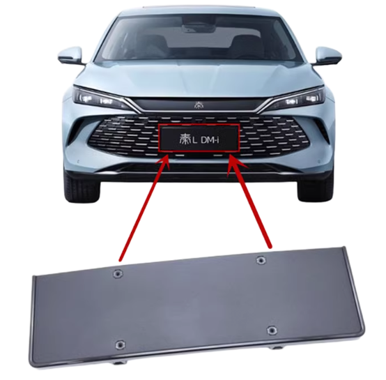 Front licence plate mounting plate - QIN L DMI