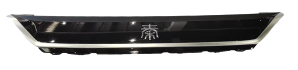 Front Logo - QIN L DMI
