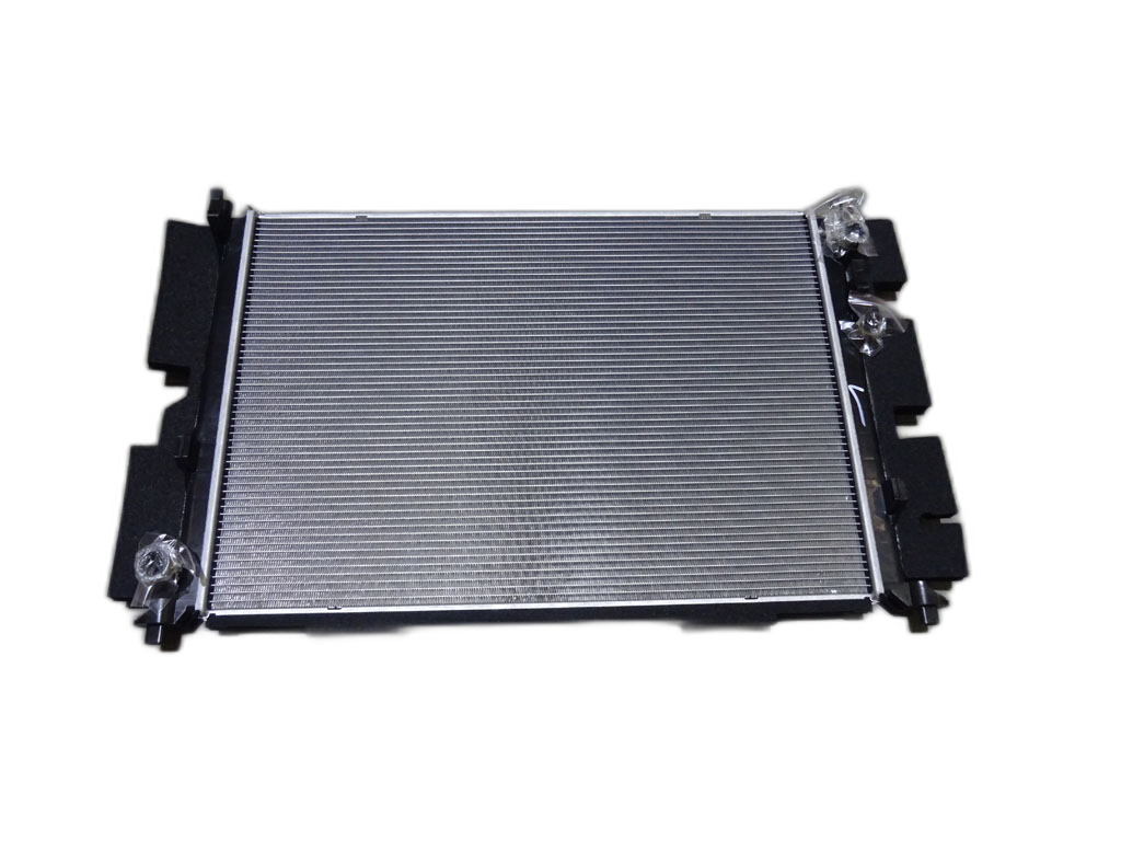 Motor radiator assembly Ⅰ - QIN EV