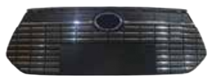 Front grille - QIN EV