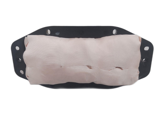 Passenger Airbag Modules - TANGL EV,TANGL DM