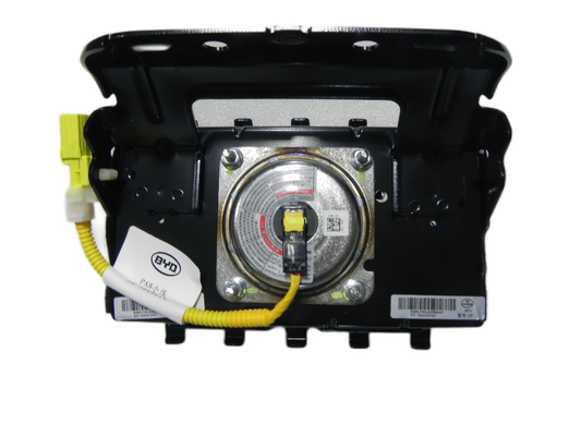 Front passenger airbag module - QIN EV