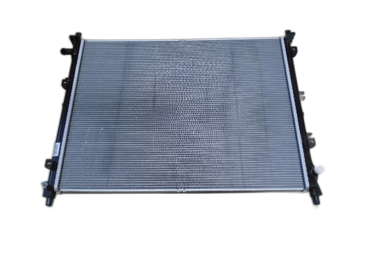 High Temperature Radiator Assembly - TANG EV